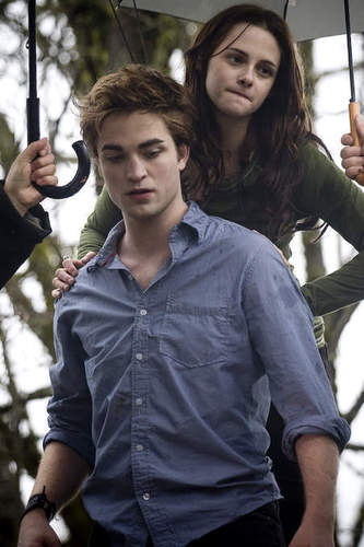  Edward Cullen and Bella zwaan-, zwaan