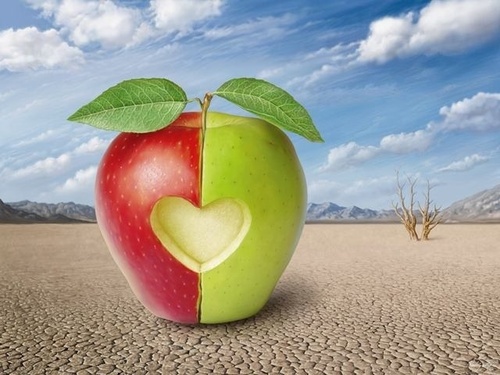  판타지 사과, 애플