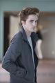 HQ Pictures - twilight-series photo