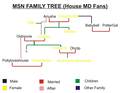 House MSN Users Family Tree - house-md photo