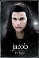 Jake - jacob-black photo