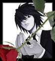 L with Red Rose - l photo
