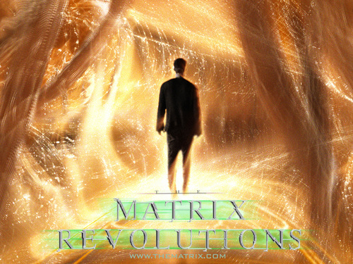  Matrix Revolutions wolpeyper