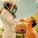 Ned & Chuck in 'Bzzzz!' - pushing-daisies icon