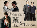 heroes - Peter/Nathan Brother Wallpaper wallpaper