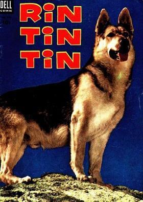  Rin Tin Tin