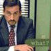 Season Five Michael - the-office icon
