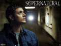 supernatural - Spn wallpaper