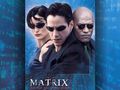 The Matrix Wallpaper - the-matrix wallpaper