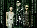 The Matrix Wallpaper - the-matrix wallpaper