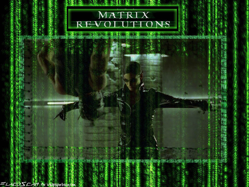 the matrix wallpaper. The Matrix Wallpaper