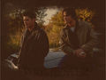 supernatural - Winchesters wallpaper