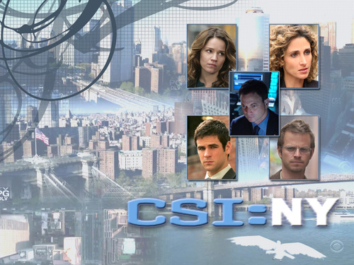 CSI:ニューヨーク