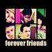 friends - friends icon