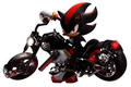 shadow on his cool bike - shadow-and-rouge photo