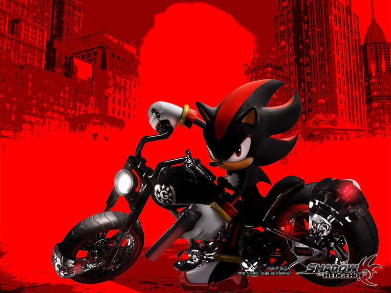 shadow Shadow and Rouge Wallpaper 2525840 Fanpop