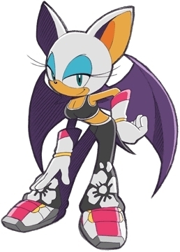 sonic-riders-rouge-shadow-and-rouge-2525540-258-360.jpg