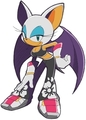 sonic riders rouge - shadow-and-rouge photo