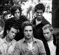 the cullens - the-cullens photo