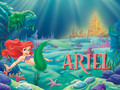 Ariel Wallpaper - ariel wallpaper
