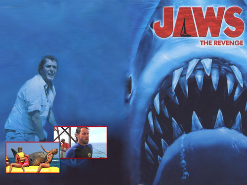  Jaws the Revenge achtergrond