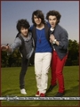 Jonas Brothers @ People Photoshoot - the-jonas-brothers photo