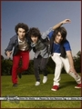 Jonas Brothers @ People Photoshoot - the-jonas-brothers photo