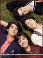 Jonas Brothers in TV Guide  - the-jonas-brothers photo