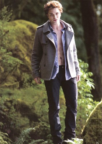 Large, scanned images from Twilight Illustrated Companion