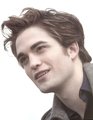 Large, scanned images from Twilight Illustrated Companion - twilight-series photo