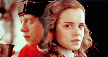  Ron & Hermione Banner
