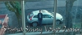 Stupid Shiny Volvo Owner - twilight-series fan art