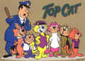 TC and the Gang - top-cat photo