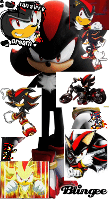  The Many Shadow's