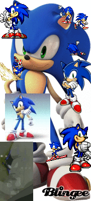  The many sonic's