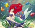 ariel - the-little-mermaid photo