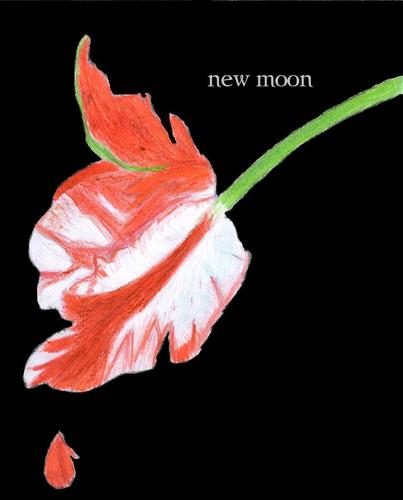  new moon cover