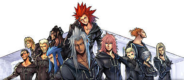  Who is number 10 in Organization XIII?