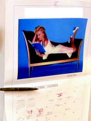  Lindsay is featured in a calendar for a charity. What was this charity?