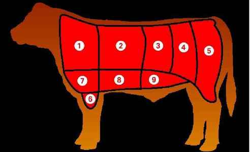  Beef cuts (American): From which section in the diagram will 당신 find the beef brisket?