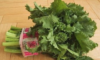  What is another name for Rapini?