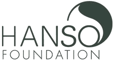  Who was behind all of the evil doings of The Hanso Foundation?
