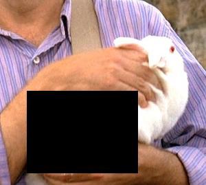  What's the number on the rabbit in episode 3x4, "Every Man for Himself"?