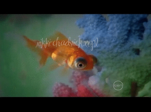 What was the name of Cleo's fish in the episode Emma turns into a monster? 