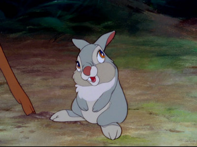  NAME THE SIDEKICK: This clever bunny is always trying to teach his Друзья new tricks. He's also an excellent ice-skater.