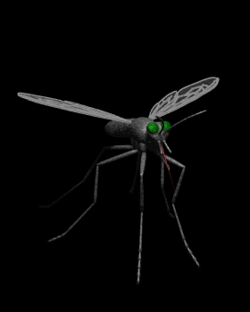  What Makanan sumber do mosquitoes get nourishment from?