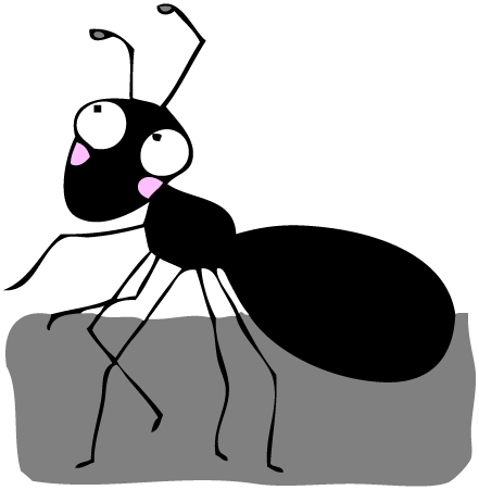  Which is the only continent in the world where there are no ants?