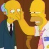 According to Homer, what is Mr. Burns covered in?