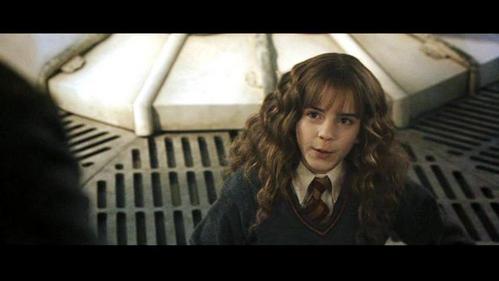  In which book does Hermoine find information on Polyjuice Potion?