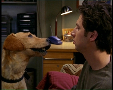  Why does Dr. Cox call J.D. dog names in one episode?